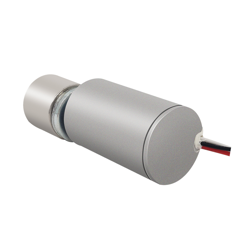 17mm Diameter High Speed Brushless Motor